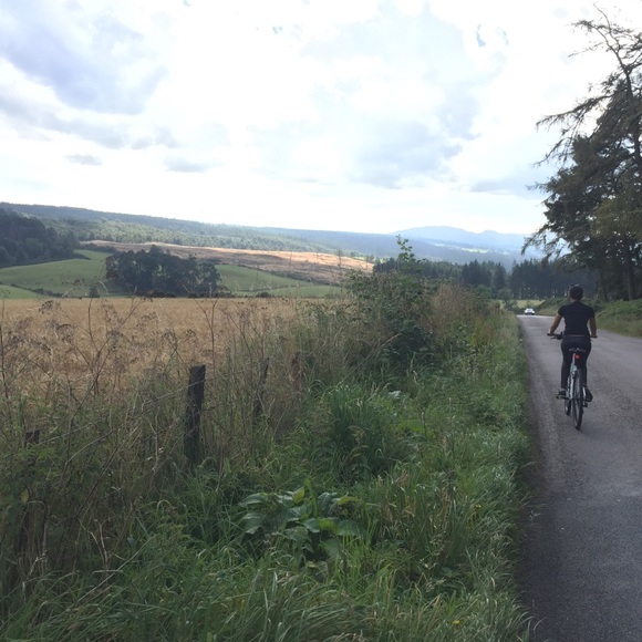 Meet your Posher, Kimmy - Picture 1 of 1